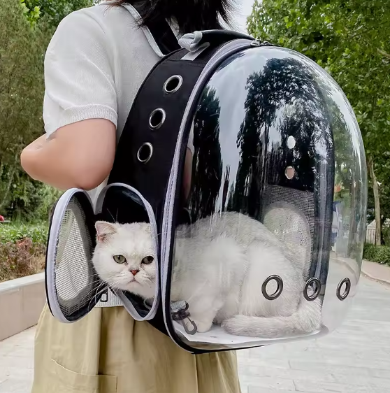 Transparent Double Shoulder Pet Backpack