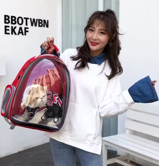 Transparent Double Shoulder Pet Backpack