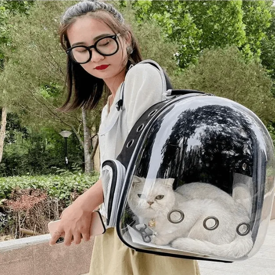 Transparent Double Shoulder Pet Backpack