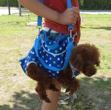 Polka Dot Pet Carrier Bag