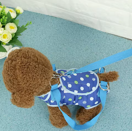 Polka Dot Pet Carrier Bag