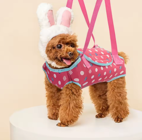 Polka Dot Pet Carrier Bag