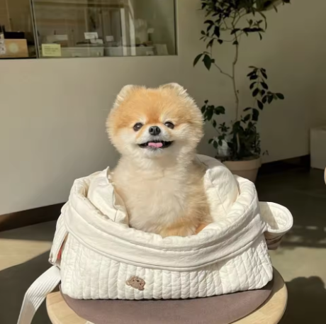 Cozy Cream Pet Travel Sling