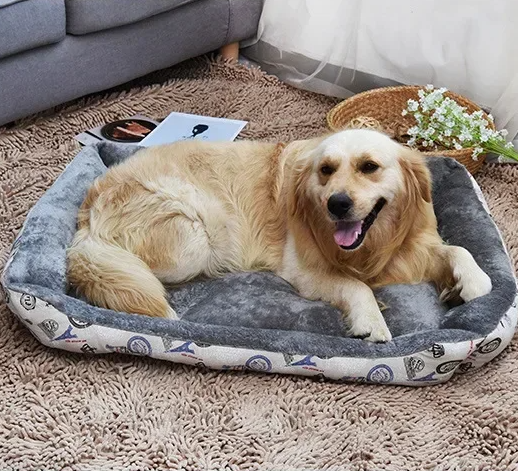 Bold Bone Pet Lounger