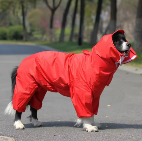 Waterproof Dog Hooded Raincoat