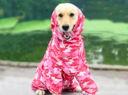Waterproof Dog Hooded Raincoat