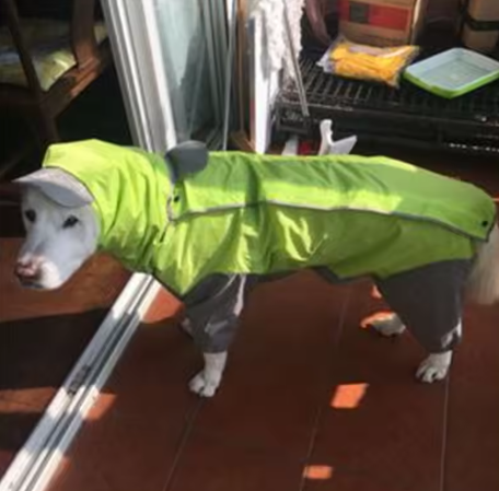 Waterproof Dog Hooded Raincoat
