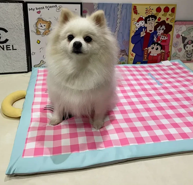 Gingham Cooling Pet Pad