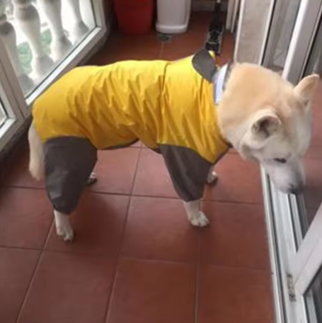 Waterproof Dog Hooded Raincoat
