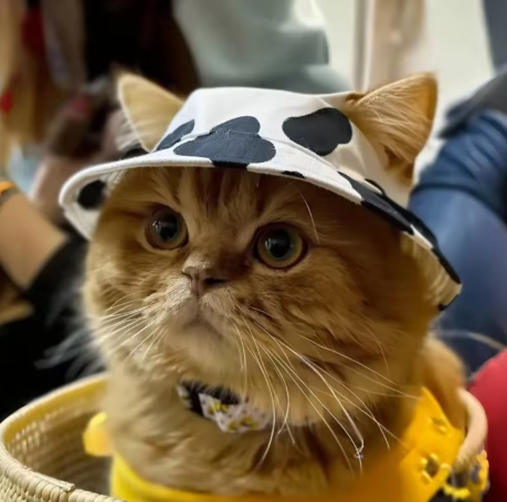 Cow Print Puppy Fisherman Hat