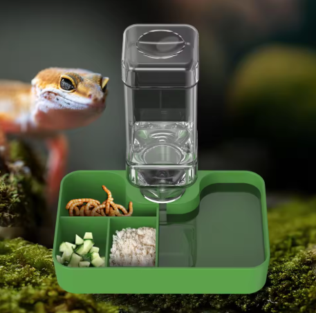 2-in-1 Reptile Feeding & Water Bowl