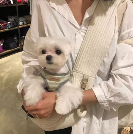 Pet Sling Carrier Bag