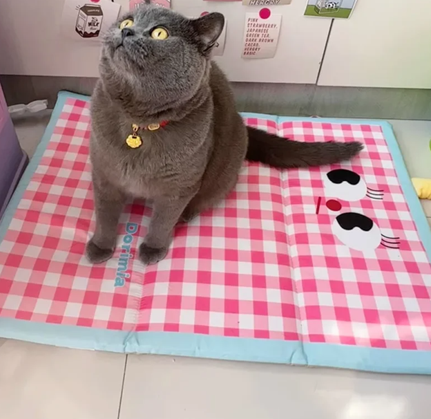 Gingham Cooling Pet Pad