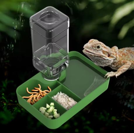 2-in-1 Reptile Feeding & Water Bowl