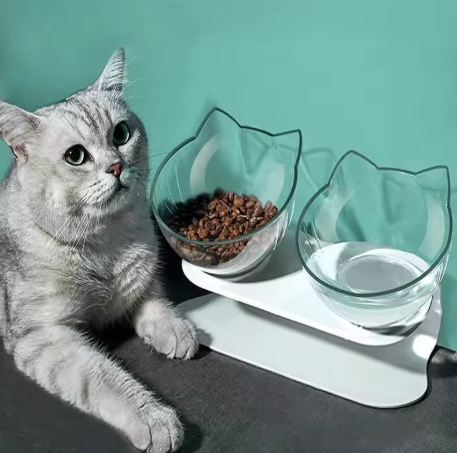 Double Cat-Ear Bowl Feeder Set