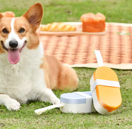 Outdoor Pet Travel Bottle Set