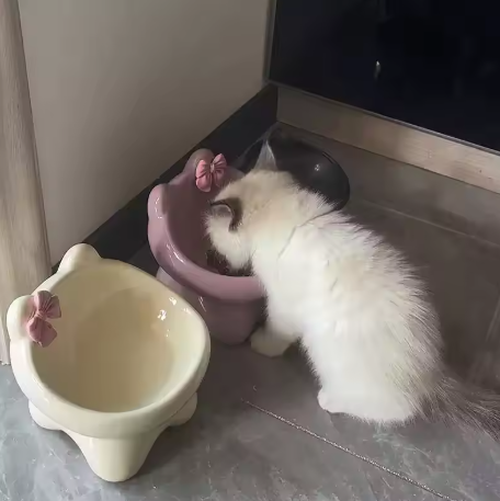 Elevated Ceramic Cat Bowl