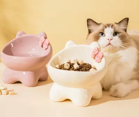 Elevated Ceramic Cat Bowl