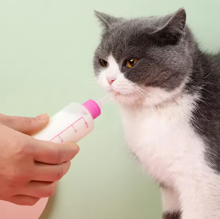 Newborn Pet Feeding Bottle