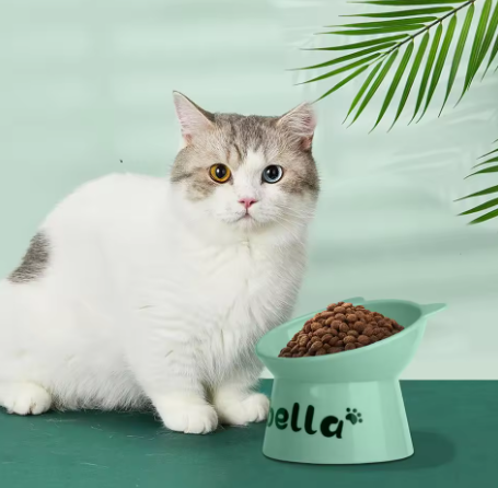 Personalized High-Foot Pet Bowl