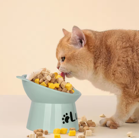 Personalized High-Foot Pet Bowl
