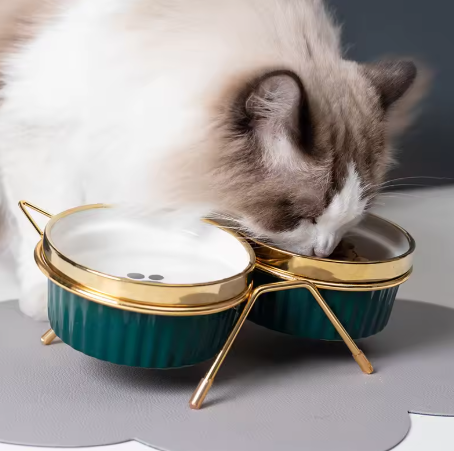 Elevated Ceramic Cat Feeder Set