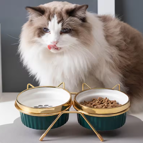 Elevated Ceramic Cat Feeder Set