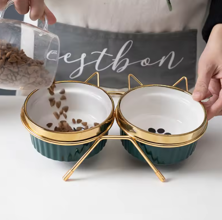 Elevated Ceramic Cat Feeder Set