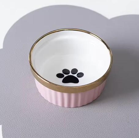 Elevated Ceramic Cat Feeder Set