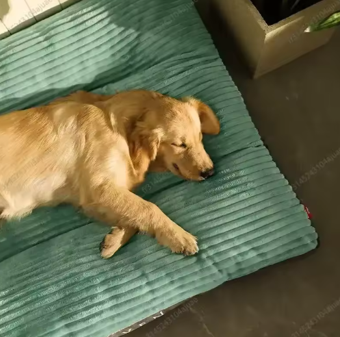 Velvet Plush Dog Mat