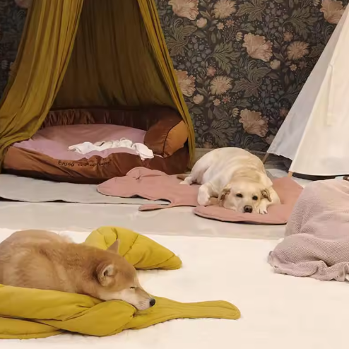 Leaf-Shaped Cooling Pet Mat